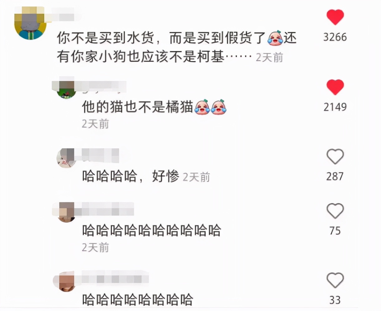 家里监控回放太揪心,家庭监控真实事件