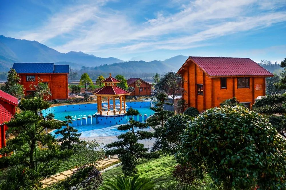 到咸宁看国宝过大年,离家45年的国宝回湖北咸宁过年