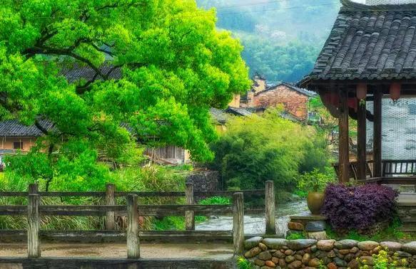 半夜邻居家狗叫算扰民吗,半夜狗冲着门口叫个不停怎么回事