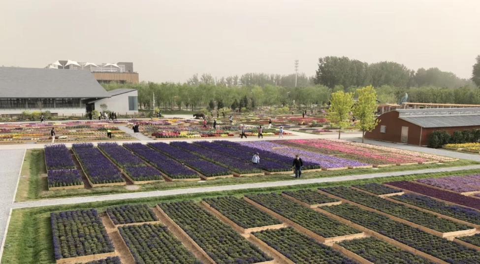 个人小型家庭农场经营模式,家庭农场最佳经营模式