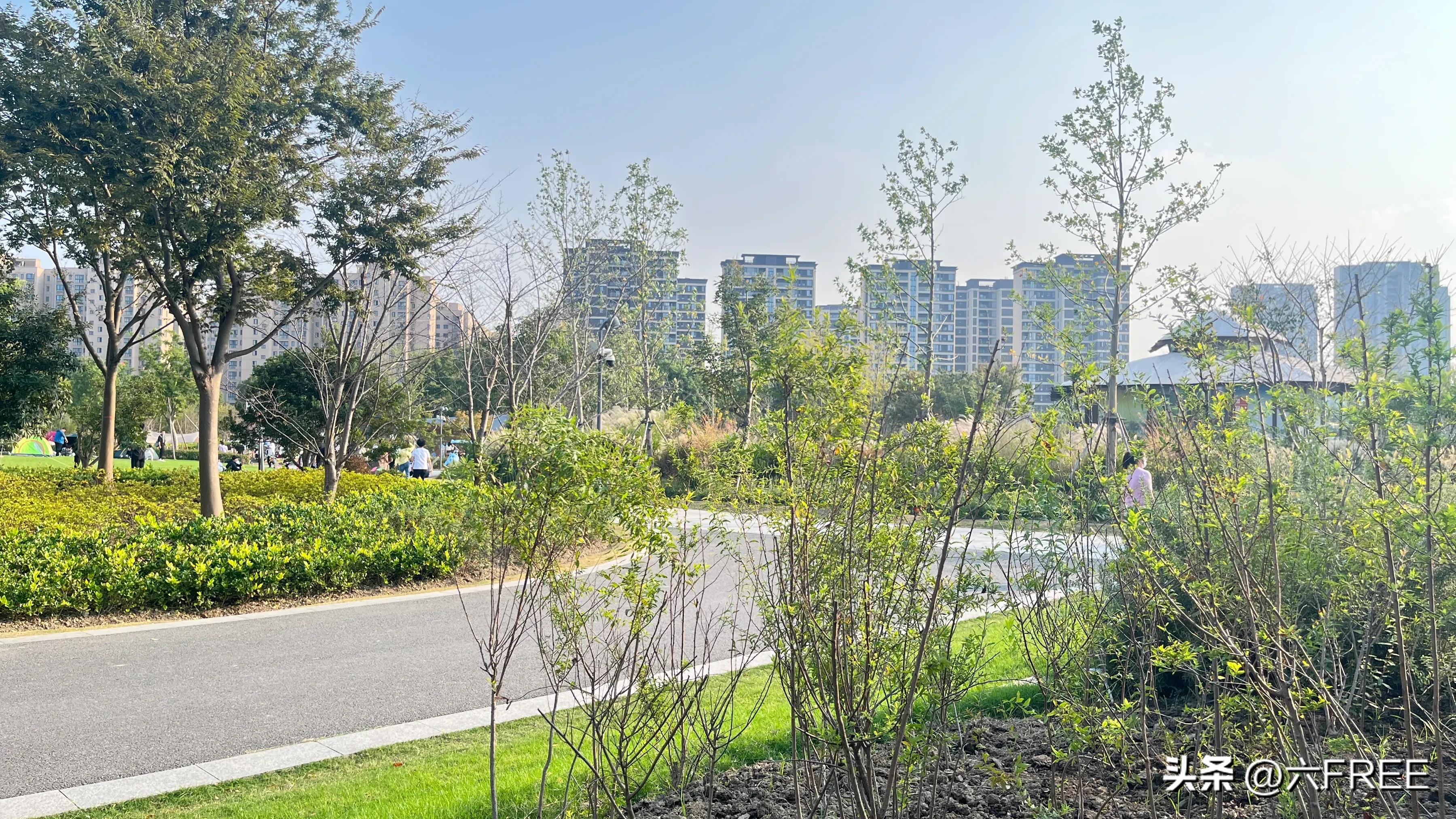 上海之鱼好玩不,上海之鱼公园游玩攻略