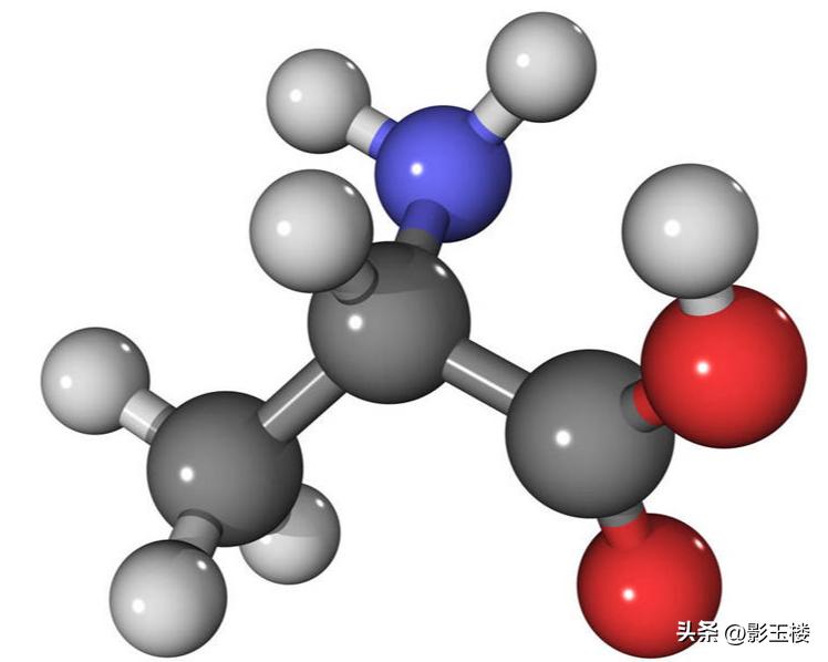 菠萝蜜种子效用,菠萝蜜种子煮熟的功效