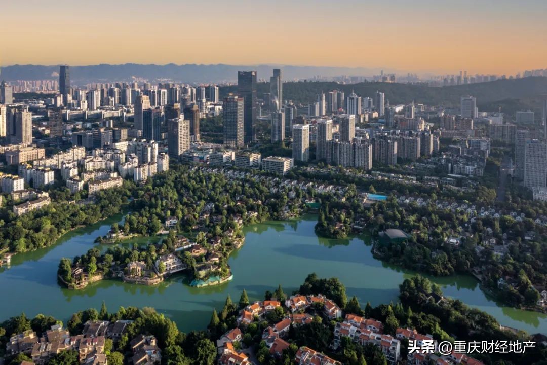 从*旗国**手到保安，我与香樟林守望20年