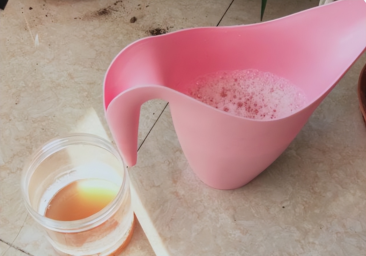 用啤酒浇花容易生虫子么,用啤酒浇花适合哪几种花