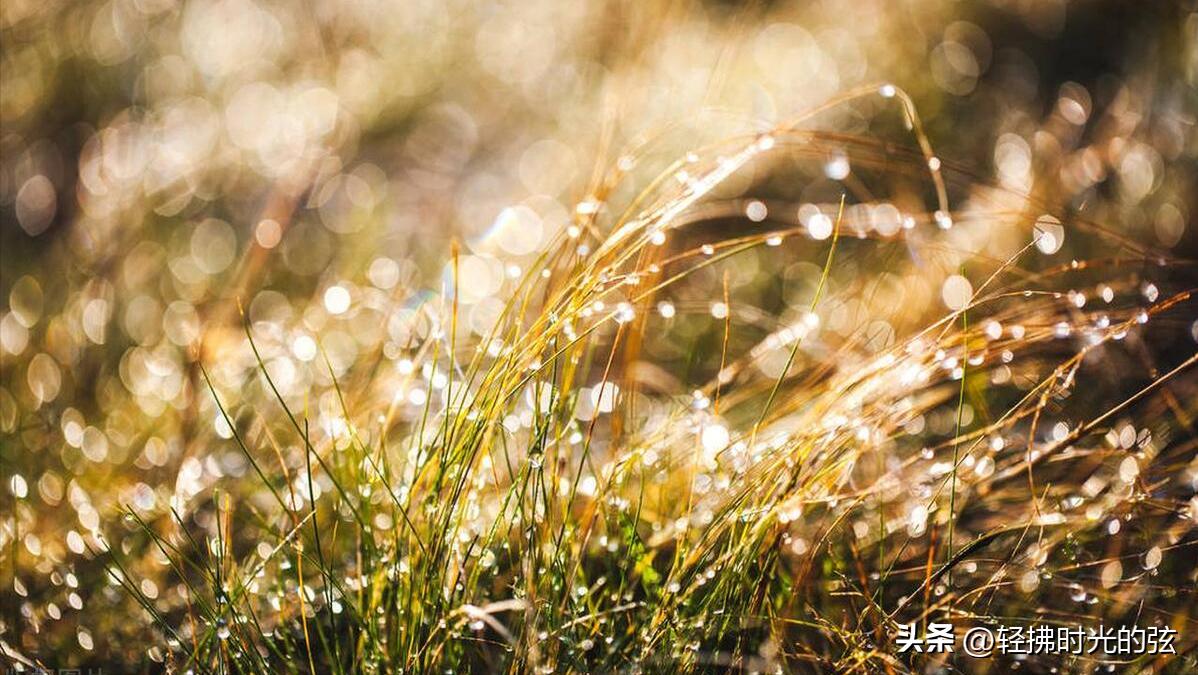 初唐四杰诗十二首,初唐四杰的名篇名句