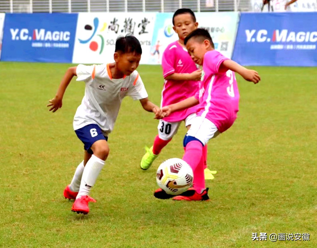 蚌埠龙子湖区足球队,蚌埠淮禹足球队