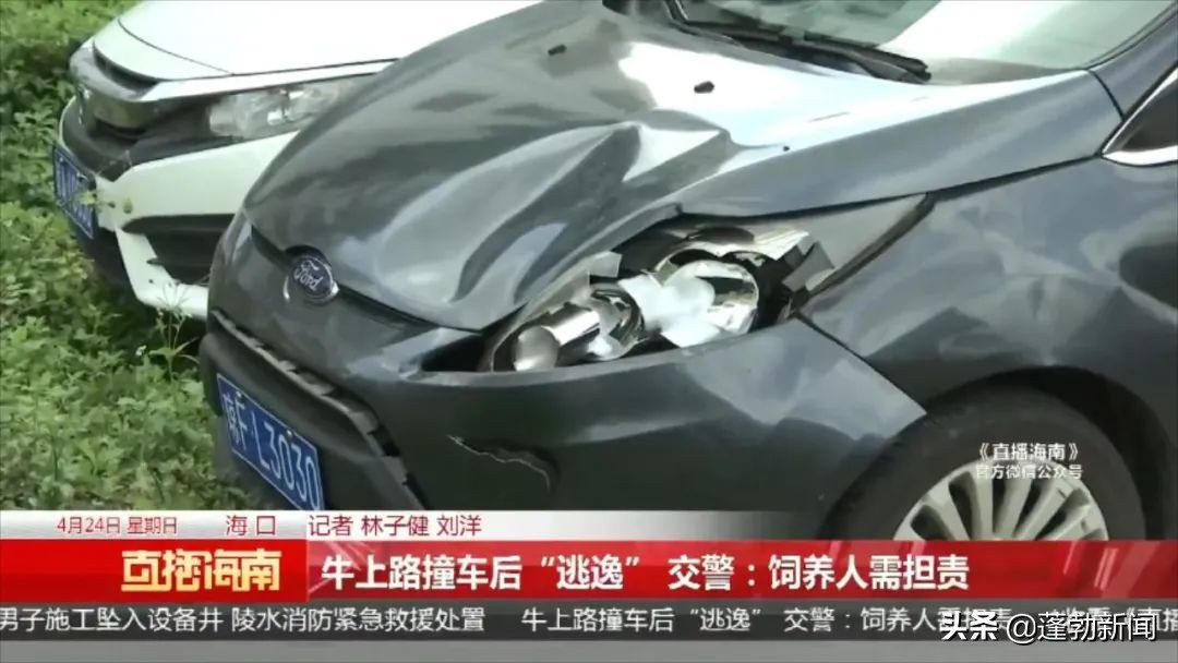 一头牛把人撞了,车把牛撞了谁的责任