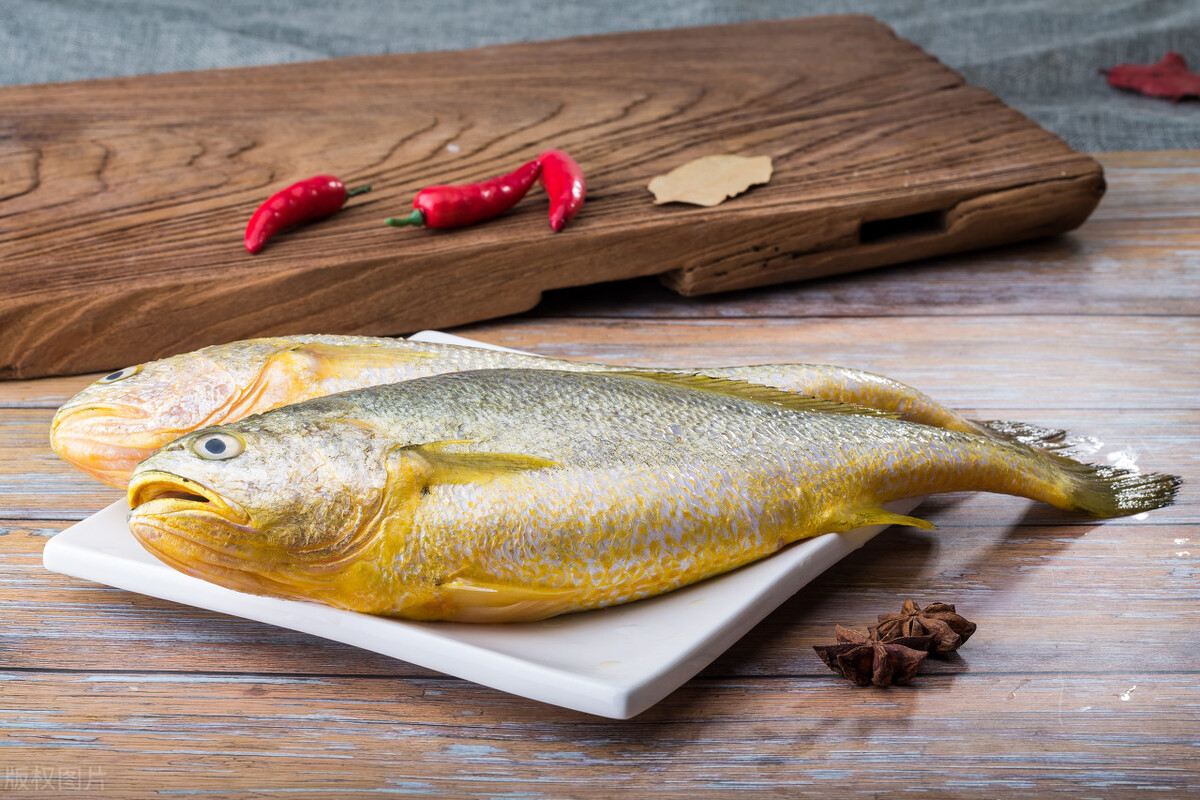 要吃鱼的观赏鱼,无人工养殖的野生鱼有哪些