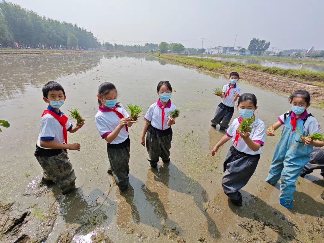 石景山区爱乐实验小学,石景山爱乐实验小学怎么样