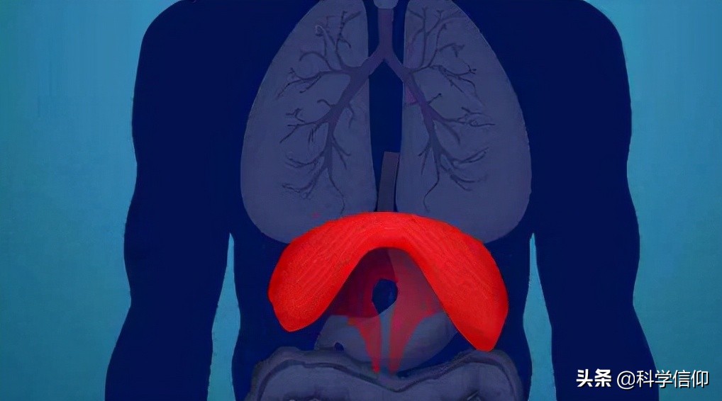 打鼾引起呼吸不畅喉咙干燥,打鼾为什么窒息都不醒过来