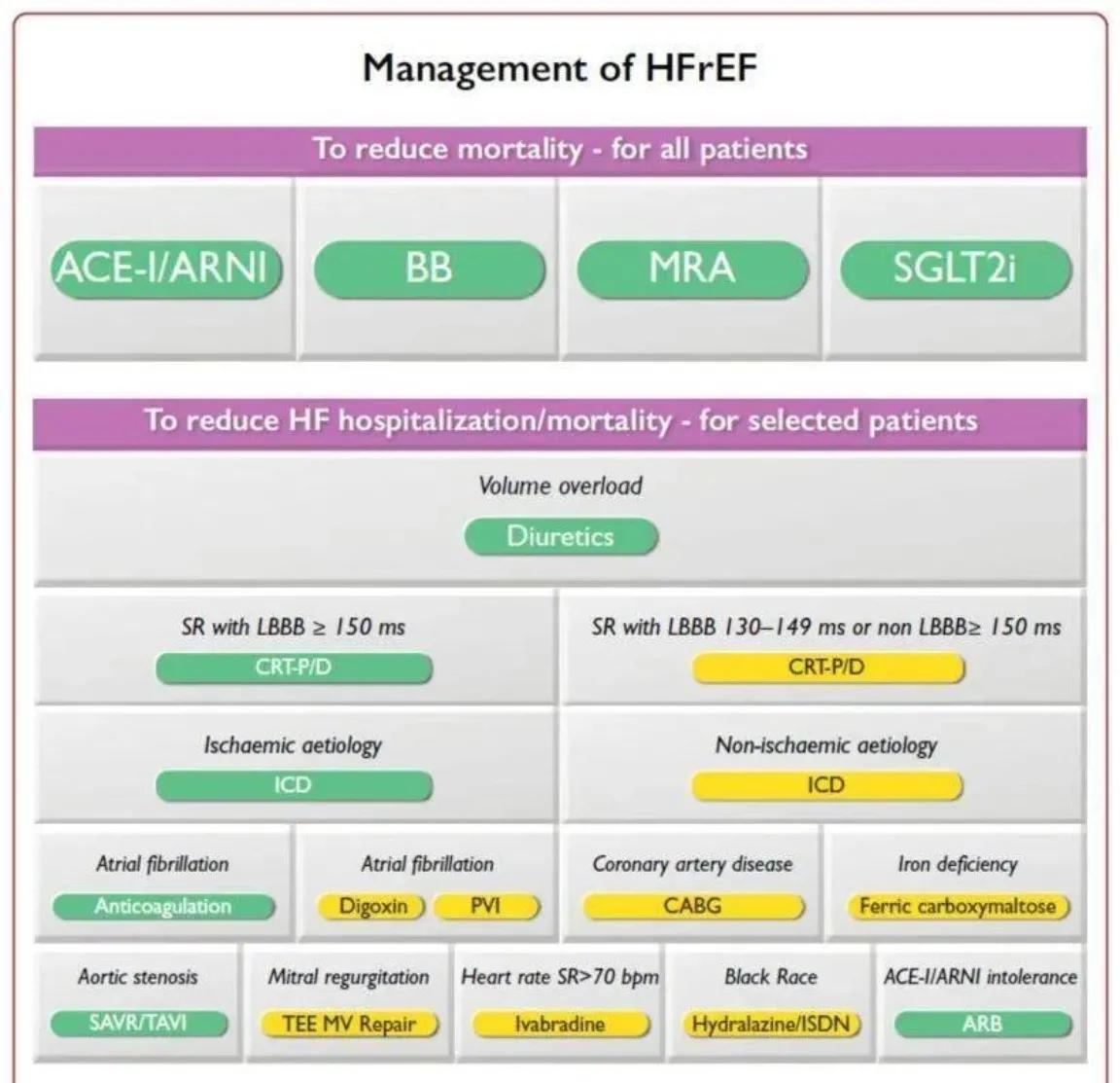 心衰的一般治疗和常用治疗药物,心衰指南药物治疗最新