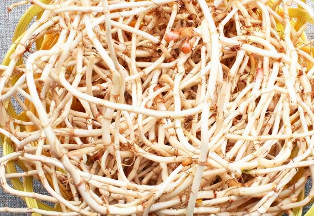 十大最无法想象的黑暗料理,中国各种顶级黑暗料理