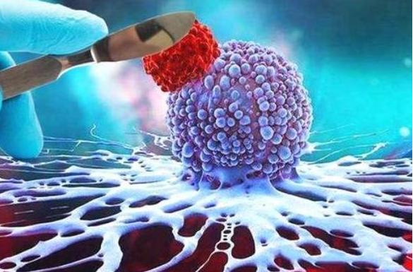 中国癌症高发和大量使用农药有关,中国食品对癌症有多少影响