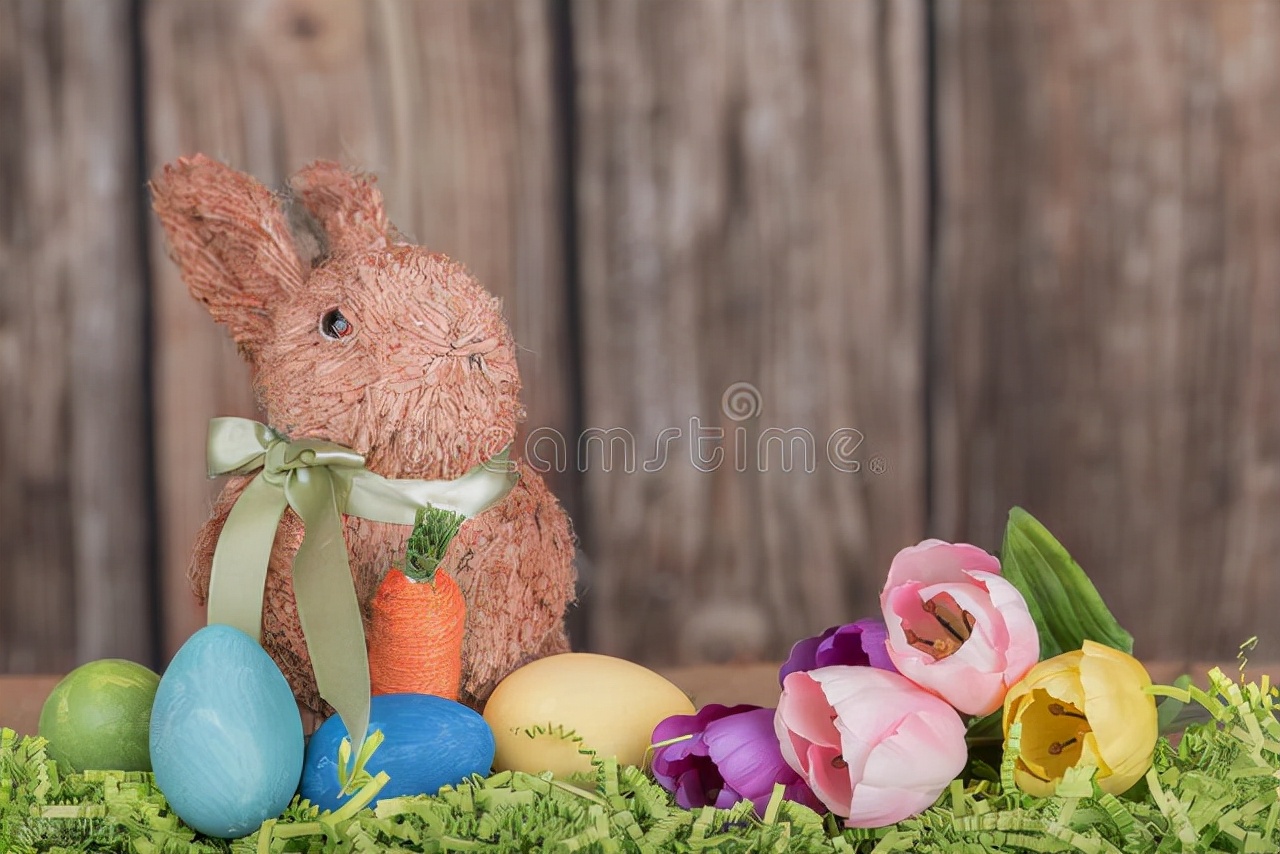 幼儿园科学教案蛋壳的秘密,幼儿园神奇的蛋壳教案