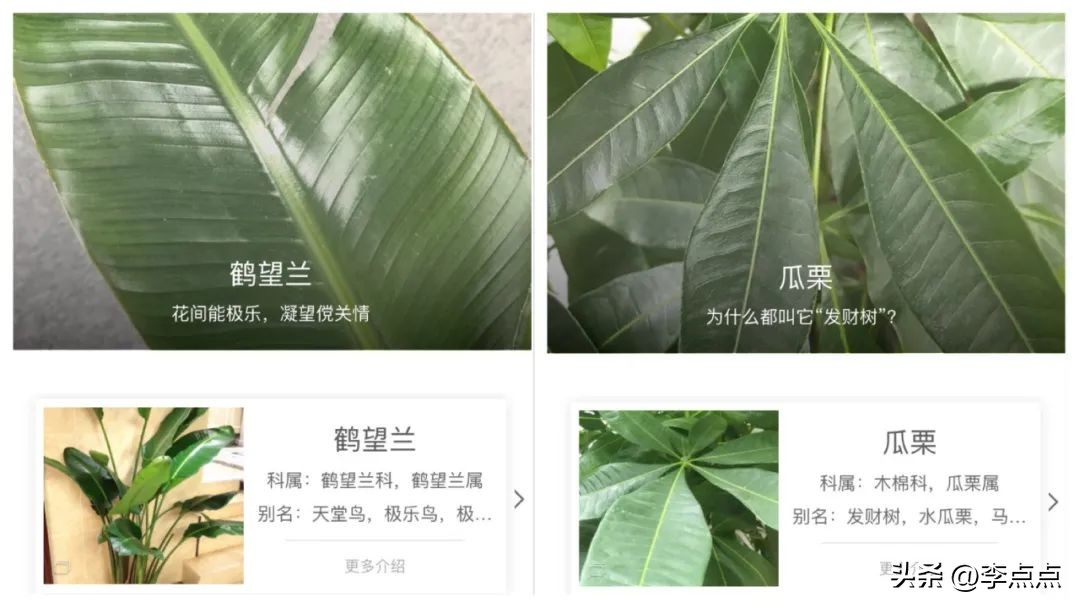 璇暟澶栧厤璐瑰涔犲皬绋嬪簭,璇暟澶栧皬绋嬪簭