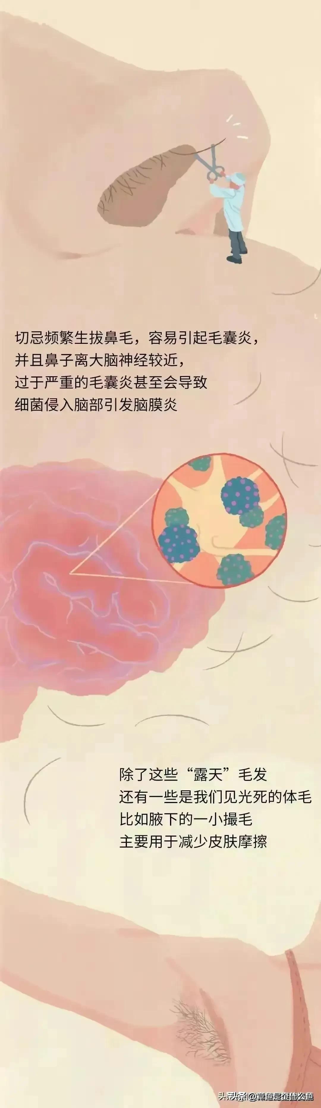 人类的毛发为什么是鳞片状,人类体毛退化原因揭秘