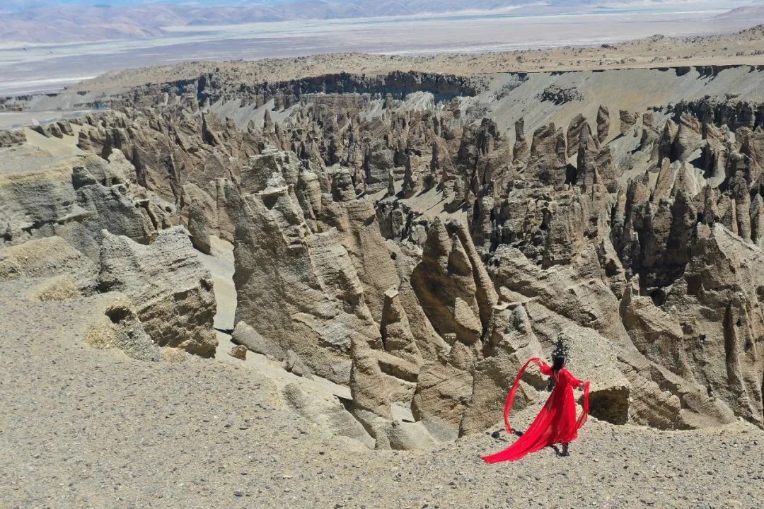 1年有150天住酒店,44次旅行,47次飞行!这江南女子怎么做到的?