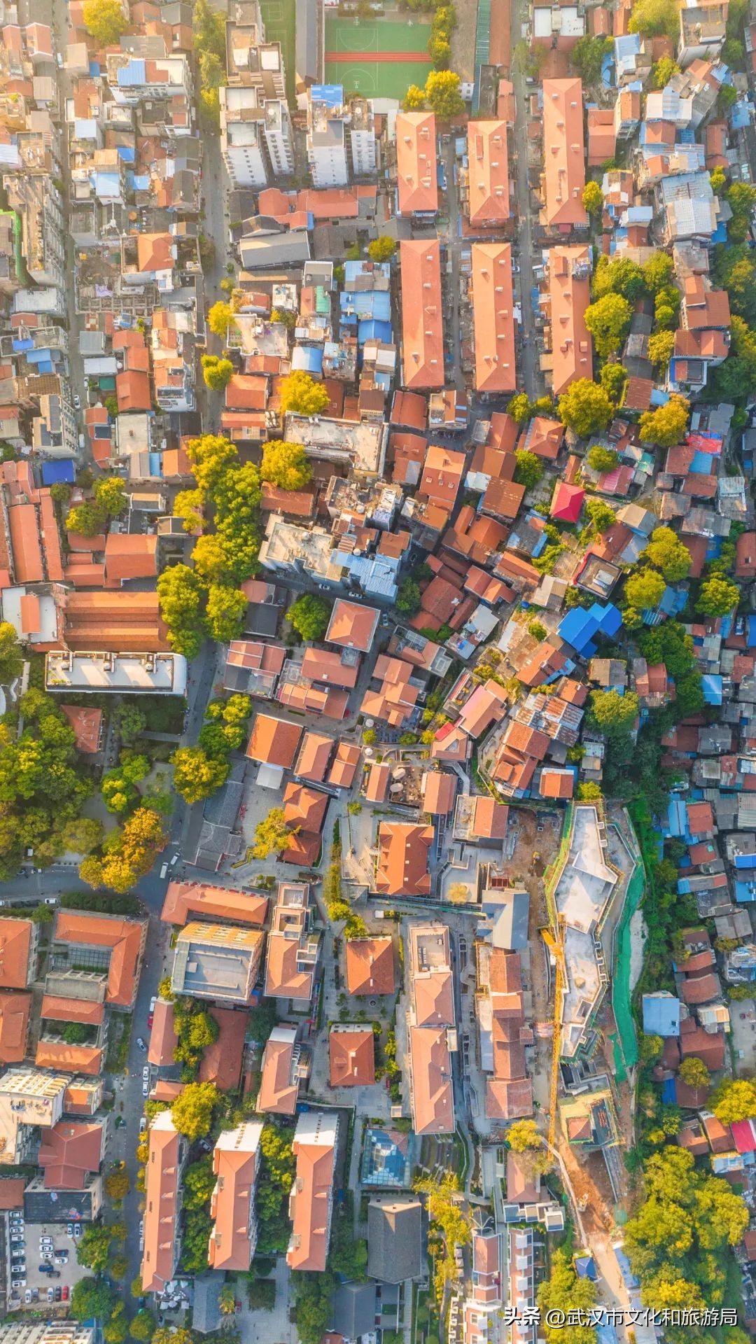 每次去都很「惊艳」的地方是____