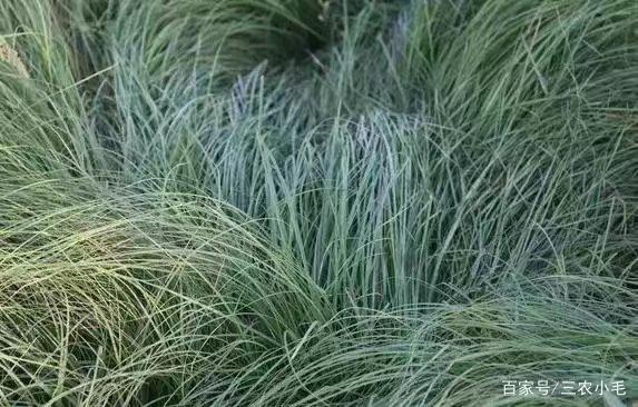 铁道兵红色记忆,铁道兵记忆大全