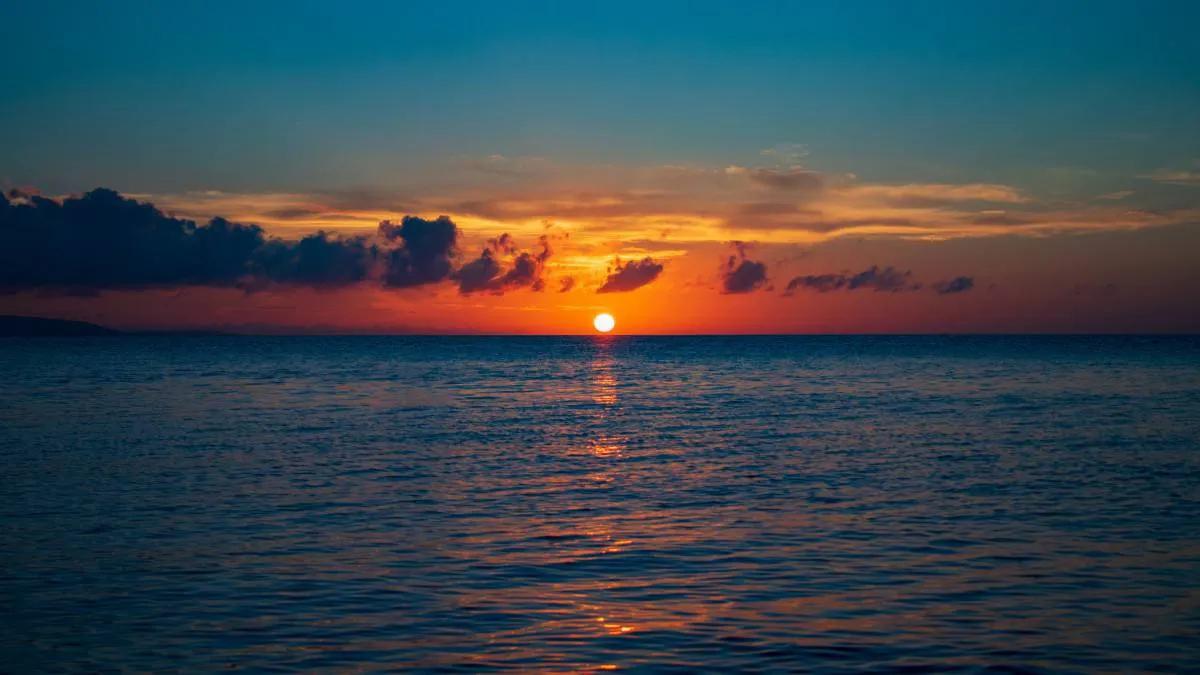 麋鹿说我迷路了,麋鹿骑着麋鹿迷路了