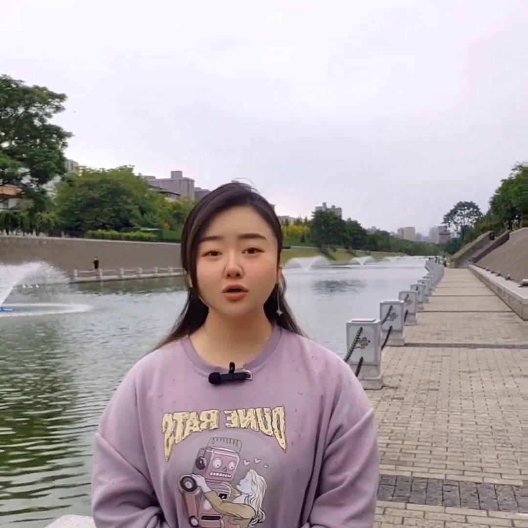 西安博物馆与博物院有哪些区别,陕西博物馆和西安博物院哪个好