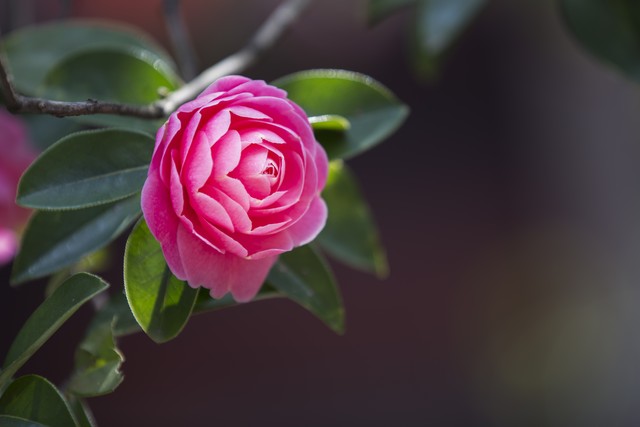 赚钱是最好的修行,赚钱是修行的最高境界吗