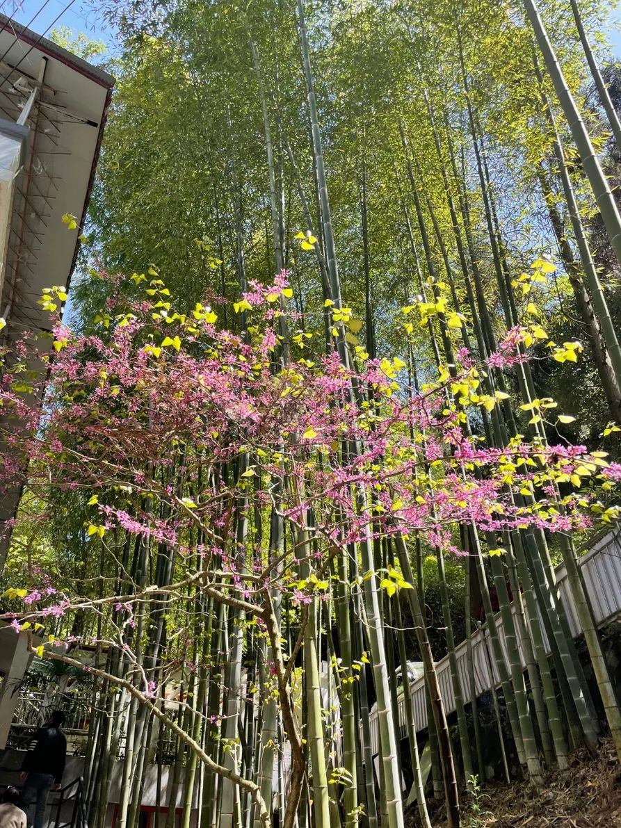 贵阳周边自己烧烤游玩地方推荐,贵阳可以免费露营烧烤的地方