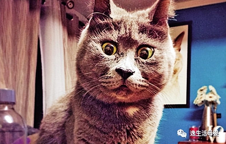 孕期遇到过哪些吓人的事,孕期躲过便秘