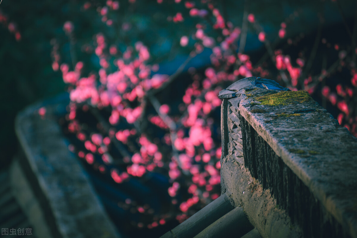 相机光圈怎么调最合适,拍细节图怎么调节光圈