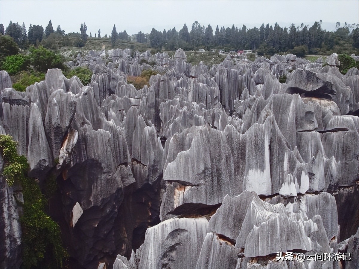 「一根风花雪月的鸡毛」（云南丨昆大丽香）