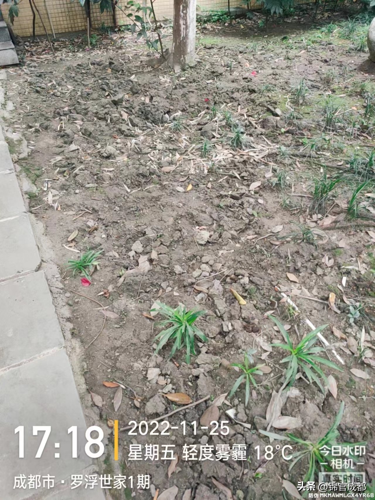 罗浮世家物管,罗浮世家物业靠谱吗