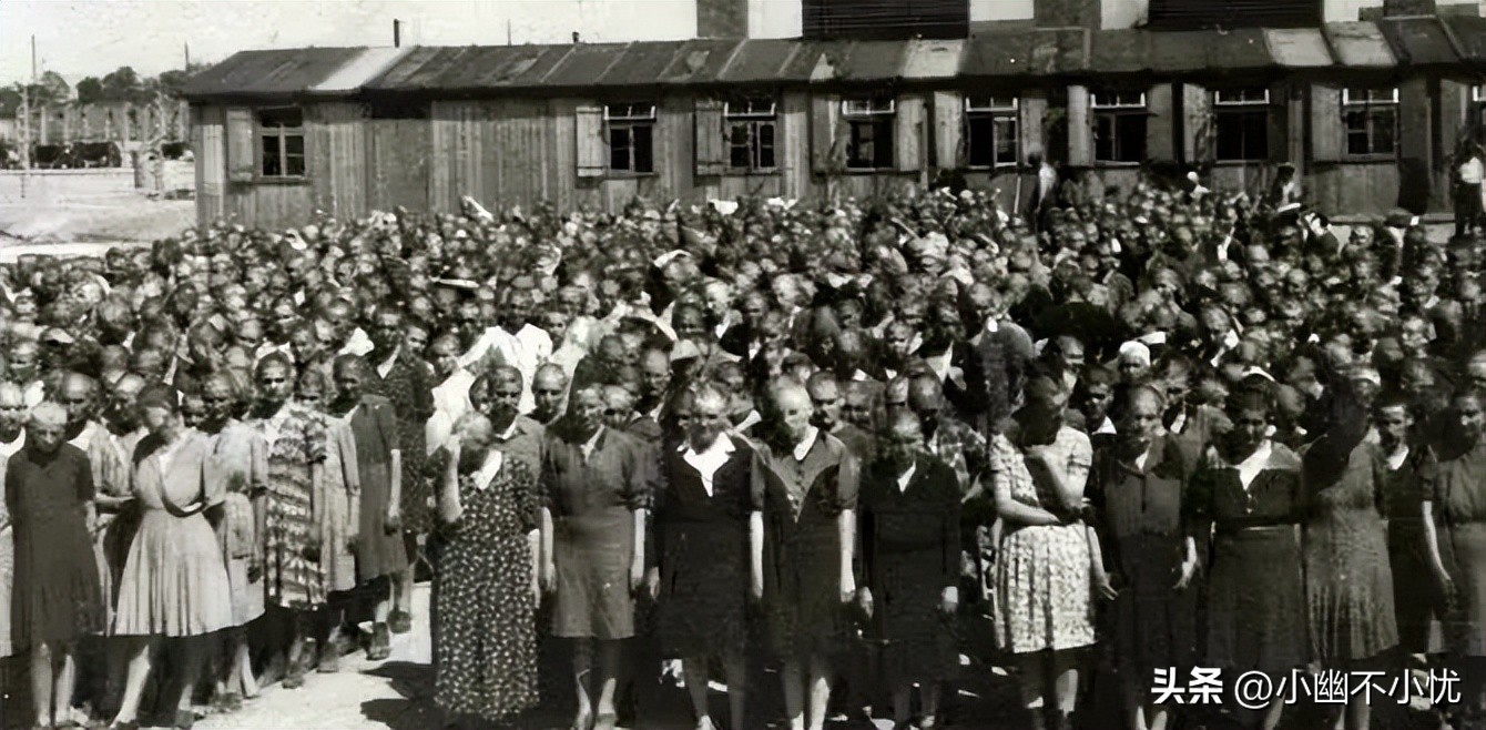 纳粹知道我的名字,奥斯维辛集中营毒气室回忆录