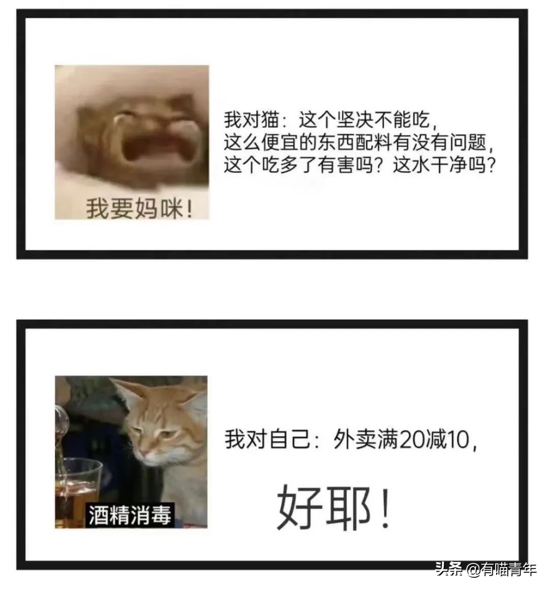 被央视曝光的猫粮,进口猫粮与国产猫粮能掺起来吃吗