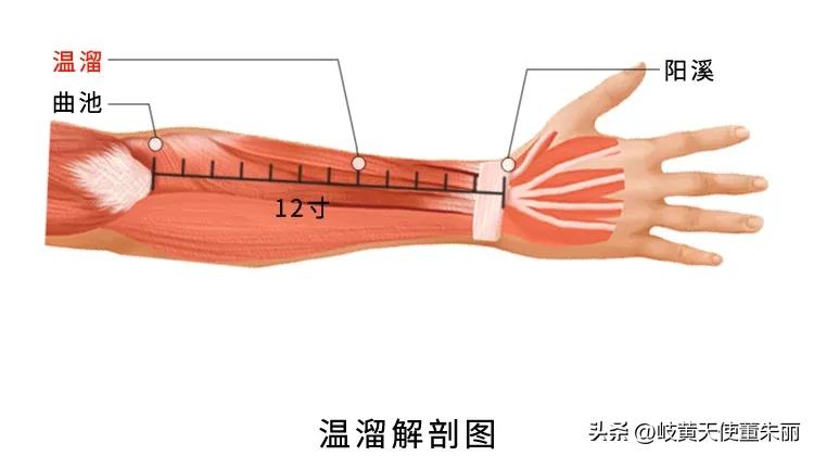 补中安神的穴位,安神镇惊清热除烦的穴位有哪些
