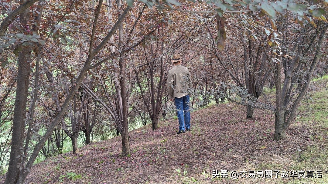 让交易更能得心应手,交易方法单一但必须做到炉火纯青