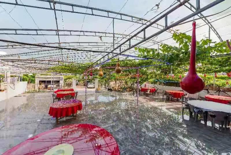 昌黎葡萄沟农家院,秦皇岛昌黎葡萄沟农家院民宿