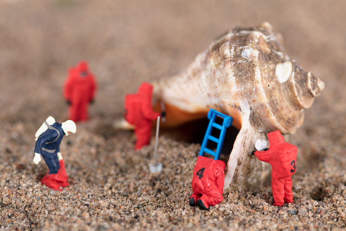 鍗佸牥鎹呬激娉曞畼浜嬩欢,婀栧寳鎹呬激娉曞畼浜嬩欢