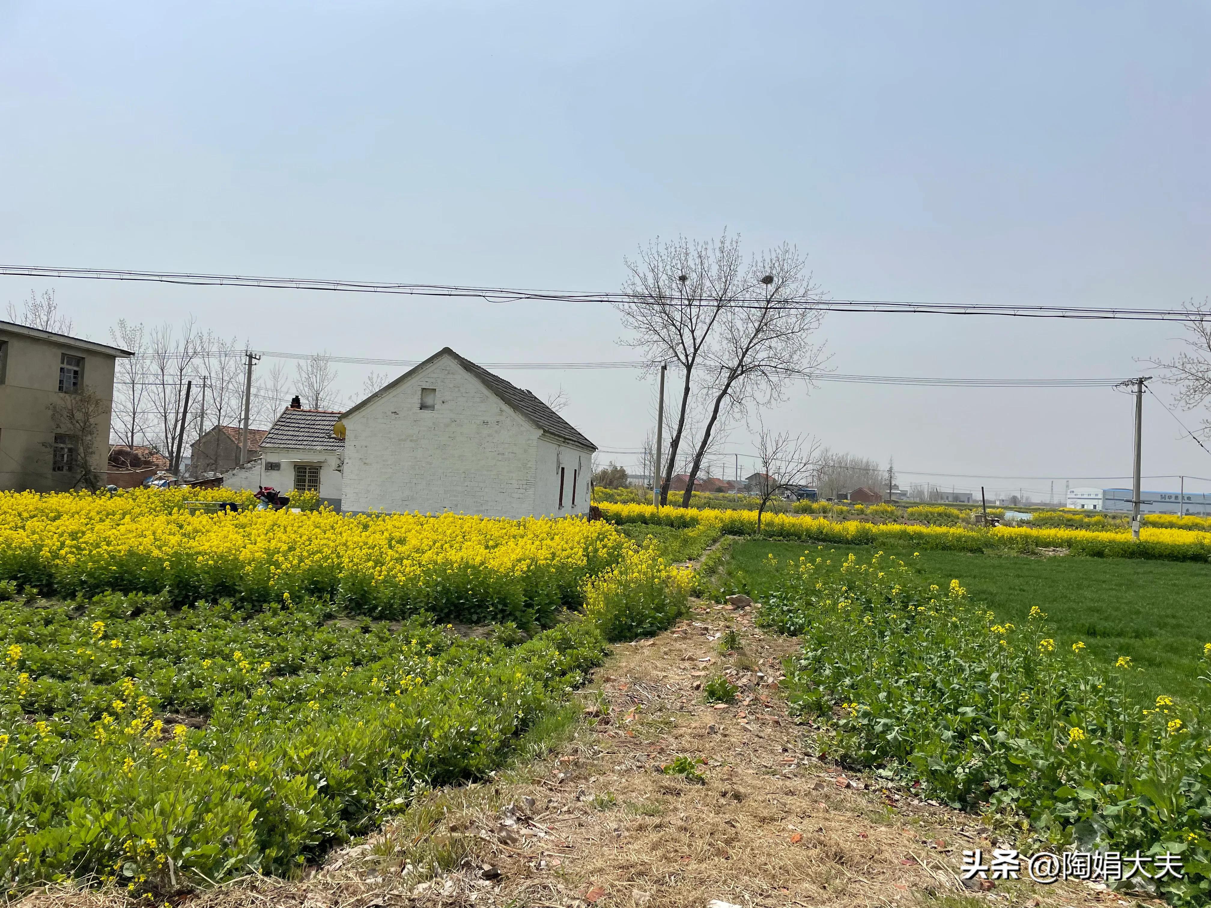 第一次绝经大姨妈不来怎么办,女人绝经后再来大姨妈正常吗