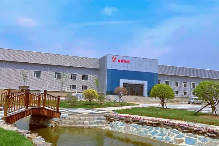 卖羽绒服被气疯,卖羽绒服卖疯了系列