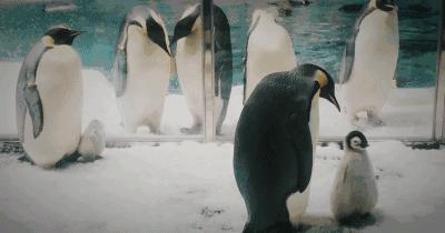 珠海长隆酒店畅玩门票,珠海长隆马戏酒店儿童乐园