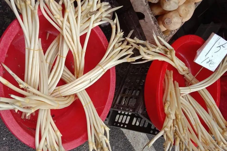 夏天的第一口枇杷酸得流油,夏天的第一口荔枝尝个鲜