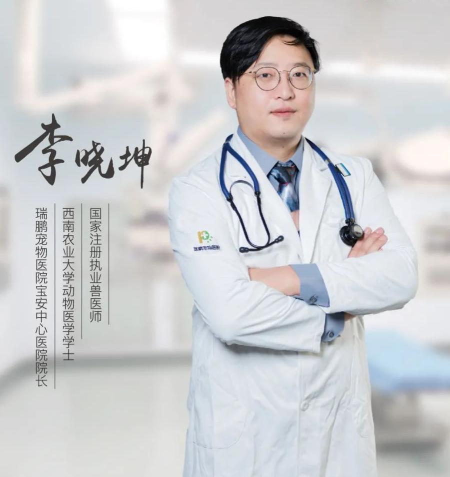 狗狗腰椎骨刺四肢不能站立,狗狗急性椎间盘突出吃什么药