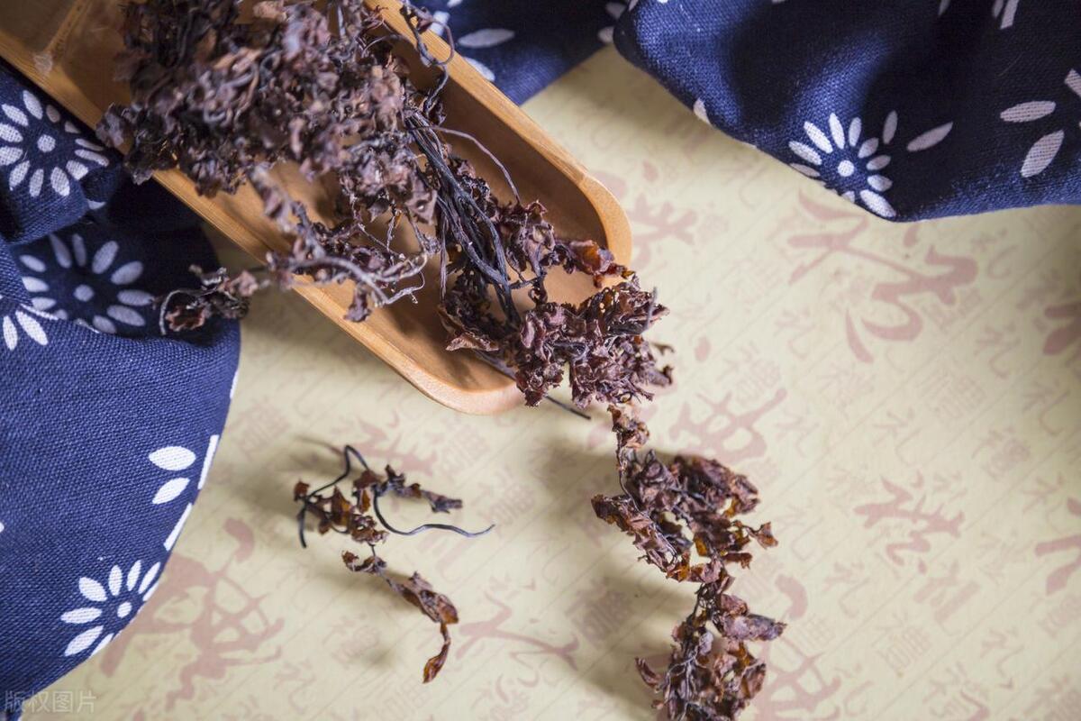 海藻（清化热痰药）