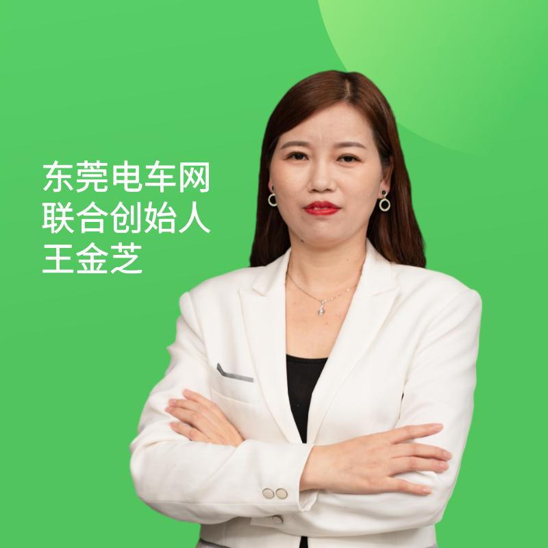 广东省东莞市新能源车网约车,东莞新能源网约汽车