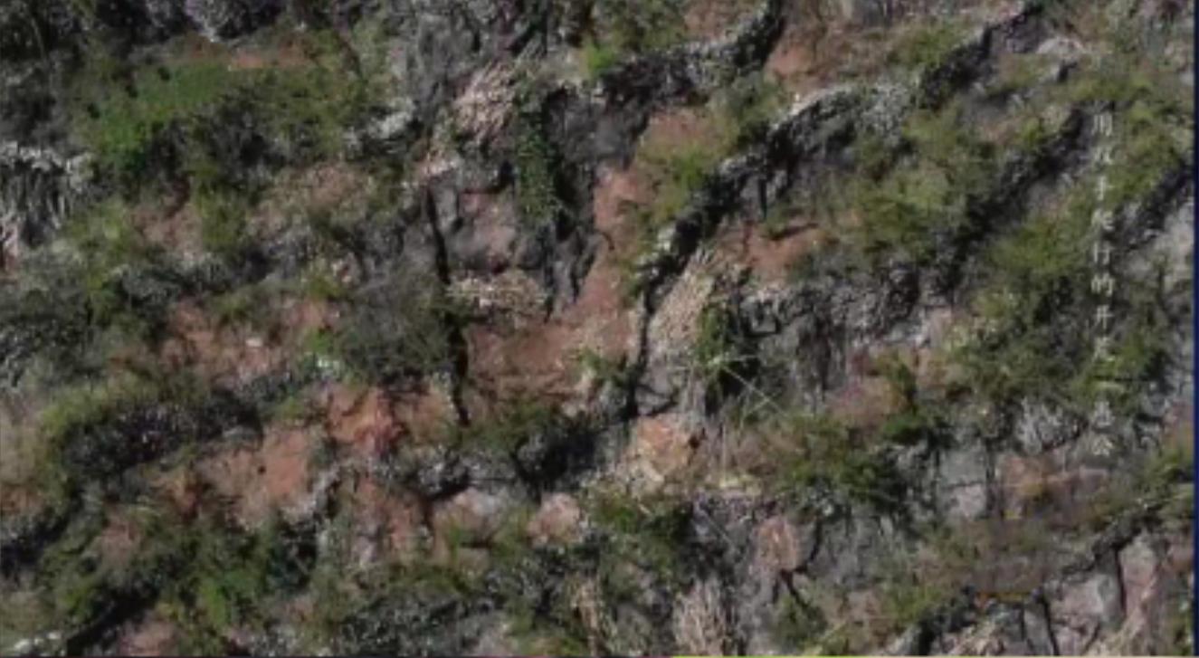 截瘫小伙坐轮椅徒步,59岁男子高位截瘫