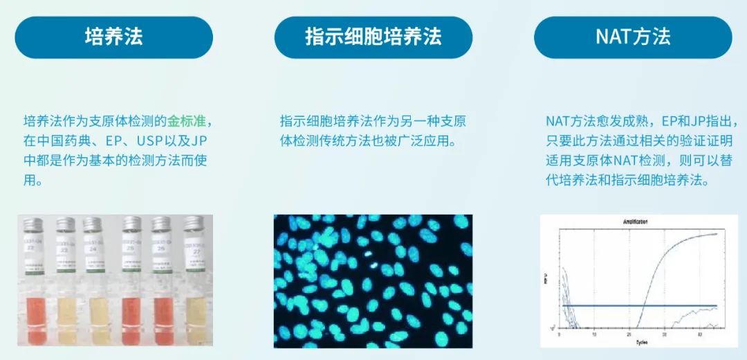 如何解决特殊样品的支原体快速检测？