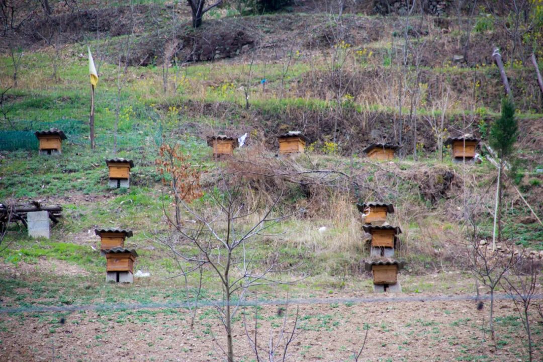 疫情让秦岭山村变得更加寂静，寻访秦岭坪沟，尽量不主动接触村民