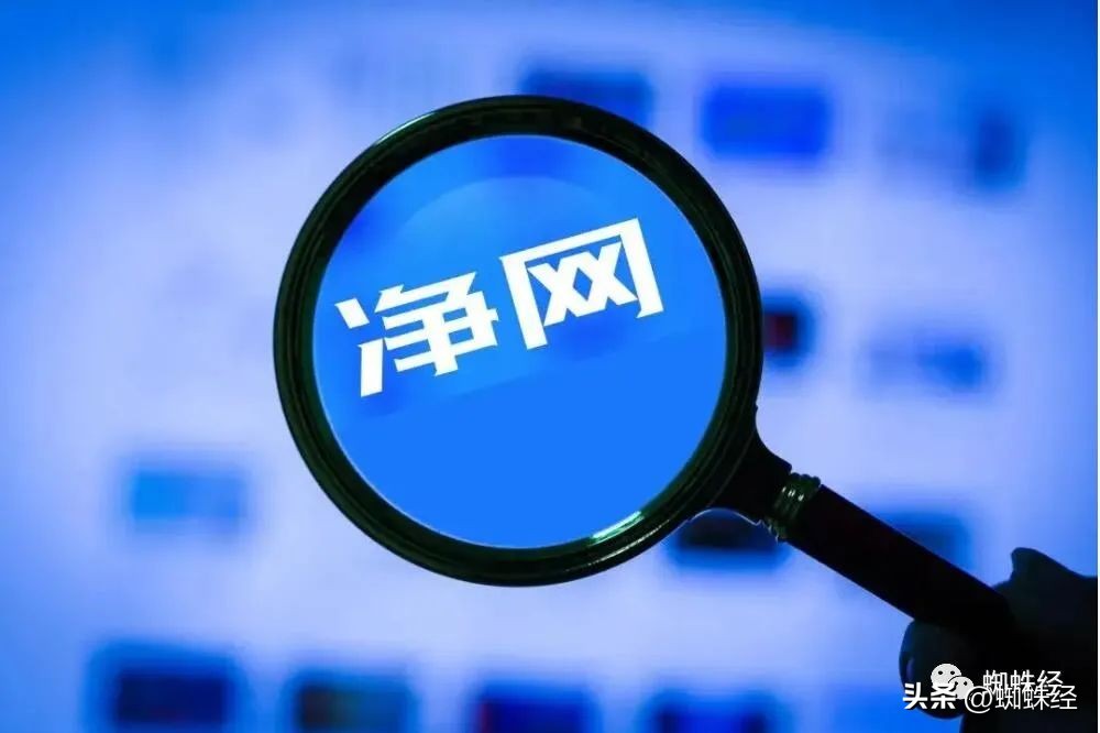 皮蛋app测评,皮蛋app是骗钱的么