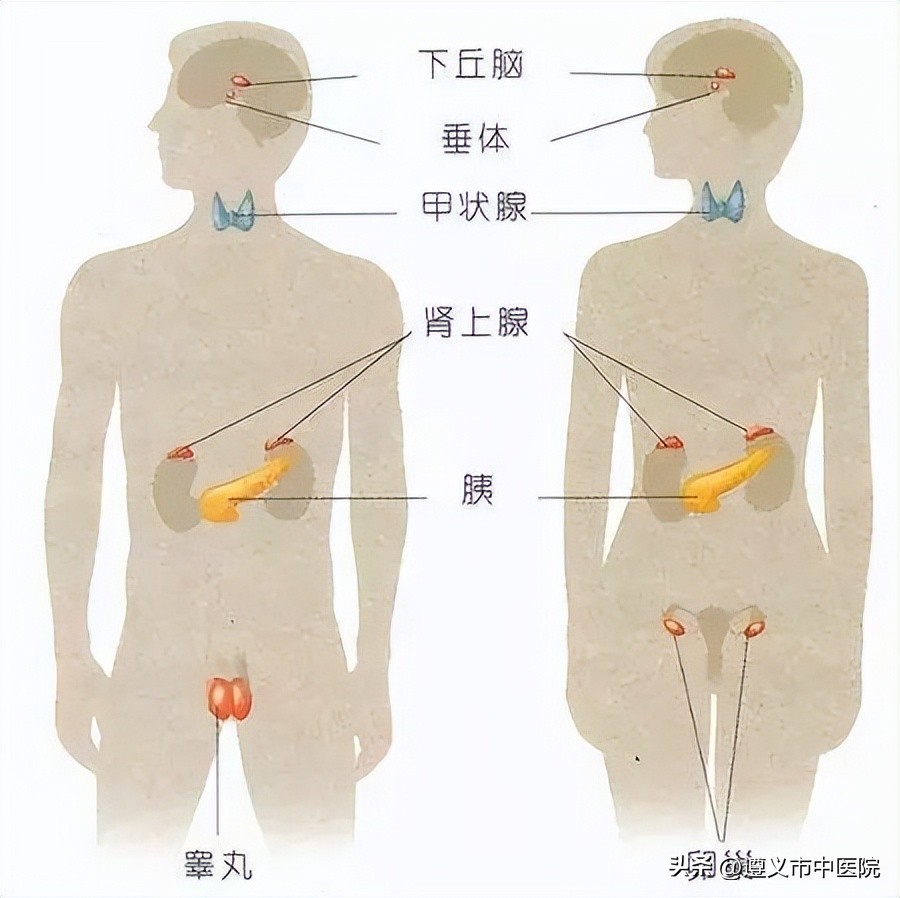 遵义市中医院内分泌科膏方,遵义市人民医院内分泌科