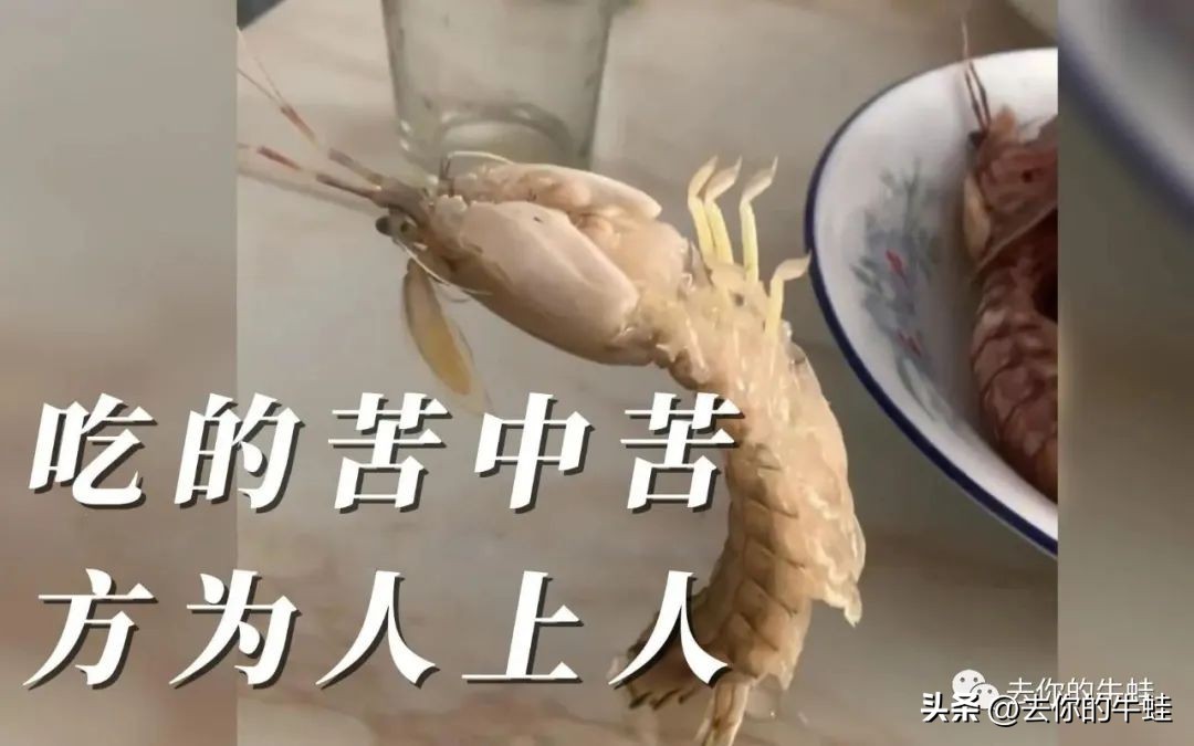 老二都比老大聪明些吗,老大比老二聪明的原因